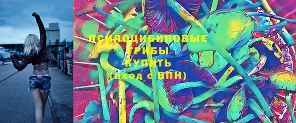 молекула духа Армянск