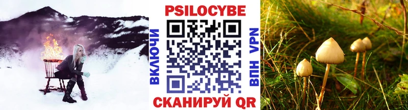 Купить где Тюкалинск Псилоцибиновые грибы MAGIC MUSHROOMS
